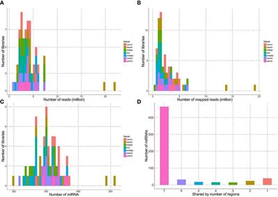 MicroRNAomes of Cattle Intestinal Tissues Revealed Possible miRNA Regulated Mechanisms Involved in Escherichia coli O157 Fecal Shedding